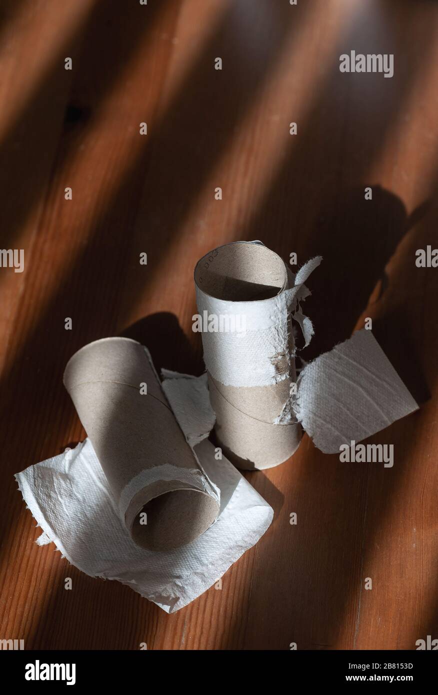 Rotoli di toilette vuoti sul pavimento con illuminazione drammatica. Foto Stock