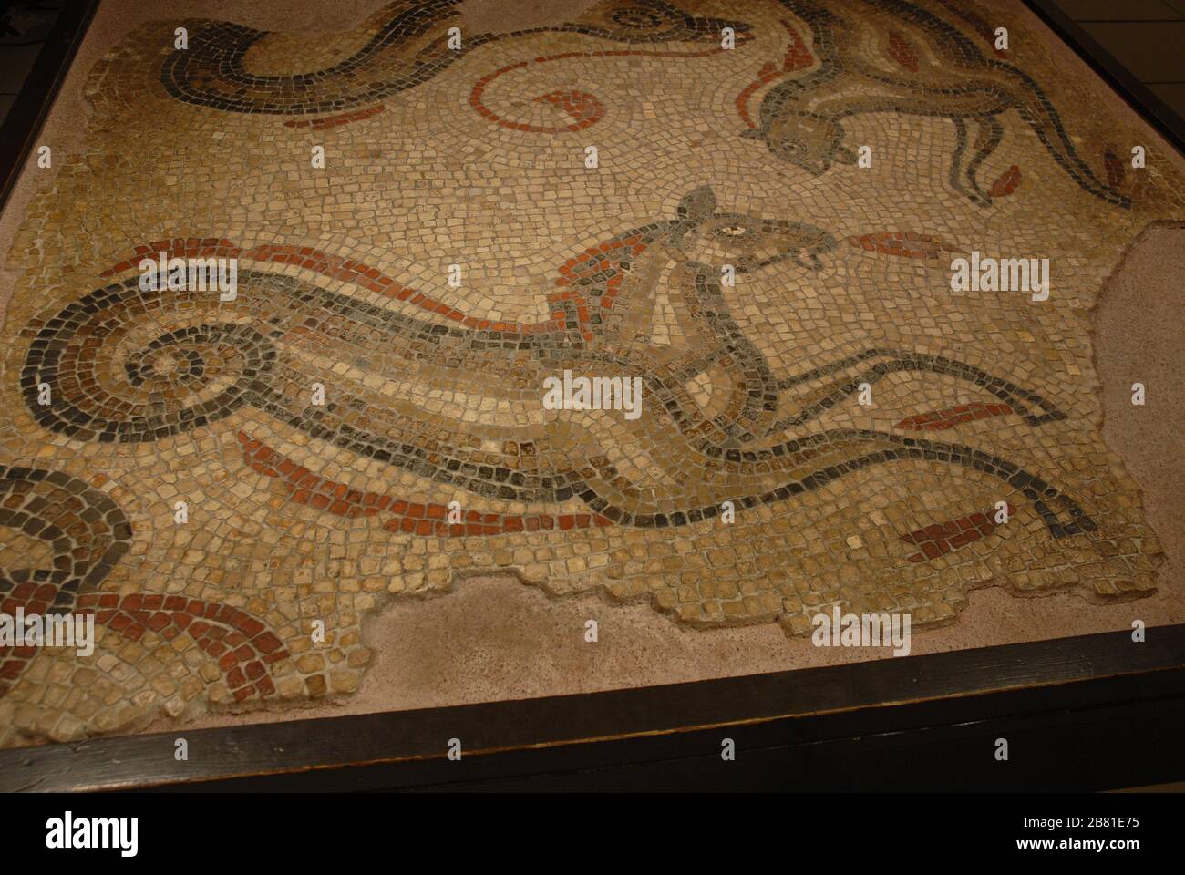 Mosaici di Aquae Sulis; bagni Romani, Abbazia di Yard, Bath, North East Somerset Consiglio. Regno Unito (Regno Unito). Foto: © Rosmi Duaso/fototextbcn Foto Stock