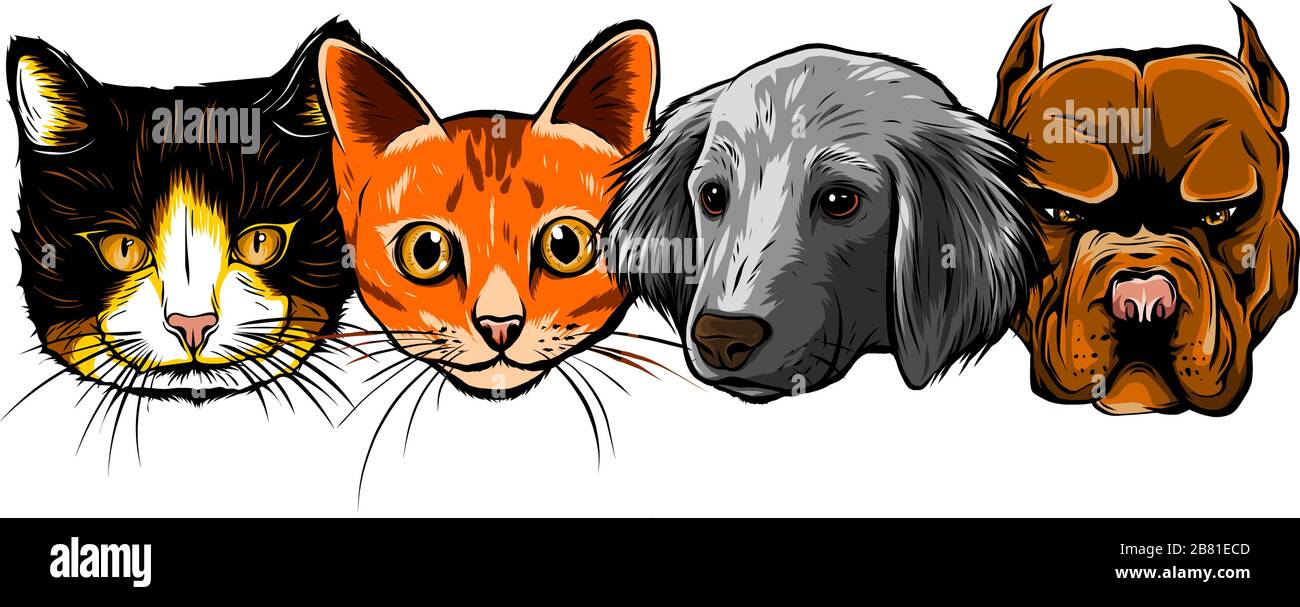 Personaggi di gatto e cane. Illustrazione vettoriale in stile cartoon. Illustrazione Vettoriale