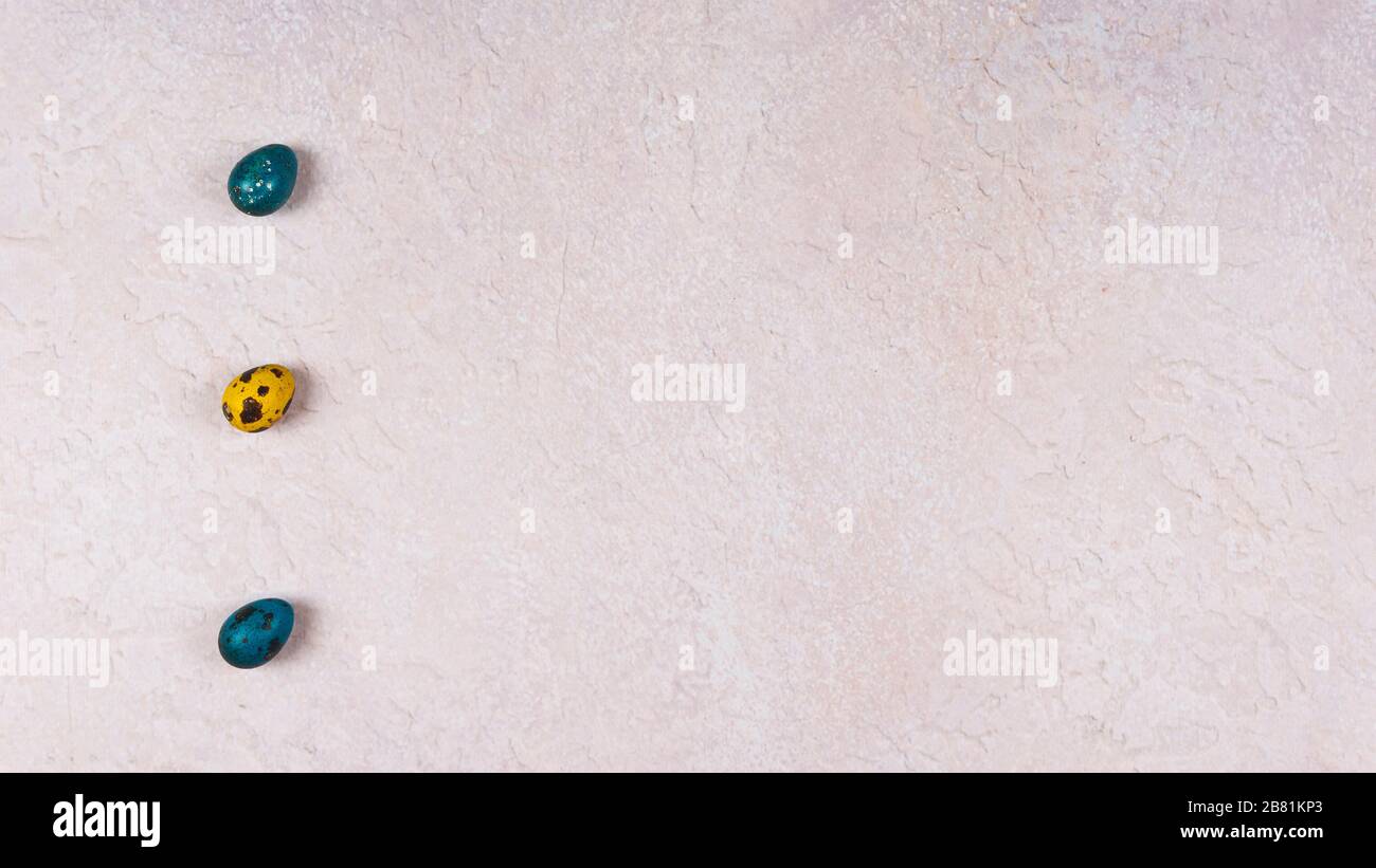 uova di quaglia colorate su sfondo grigio, piatto. Concetto di Pasqua e primavera. Spazio copia, vista dall'alto Foto Stock