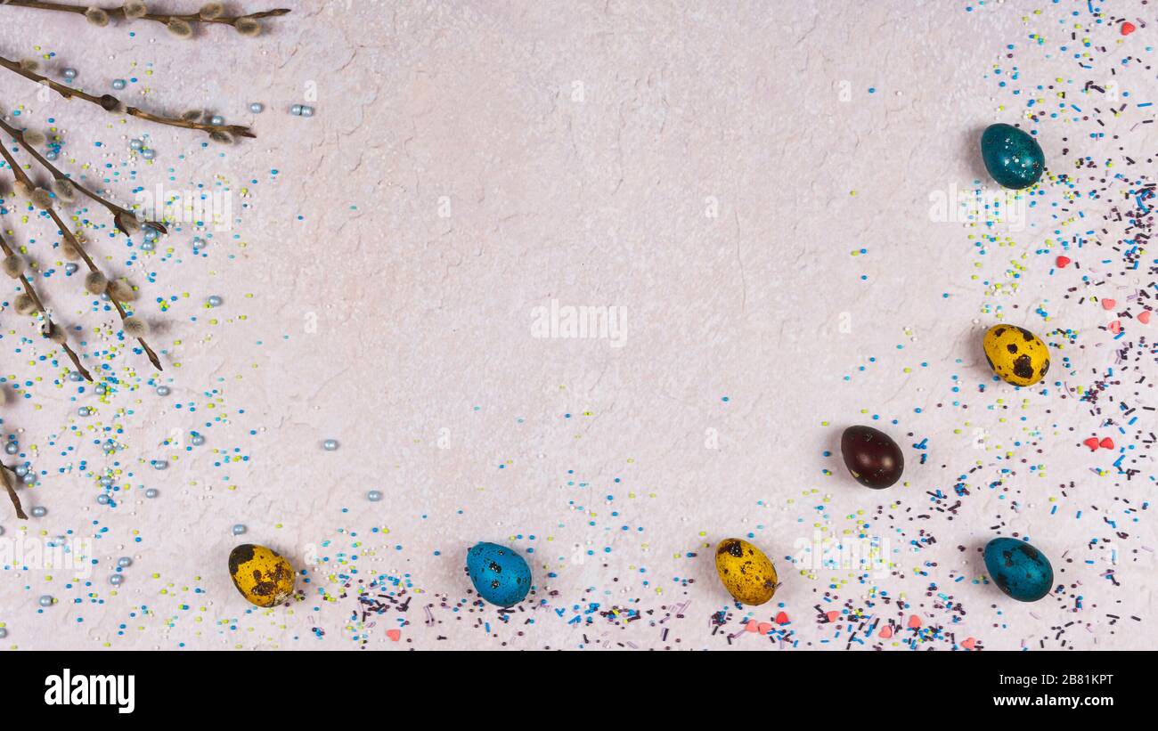 uova di quaglia colorate su sfondo grigio, piatto. Concetto di Pasqua e primavera. Spazio copia, vista dall'alto Foto Stock