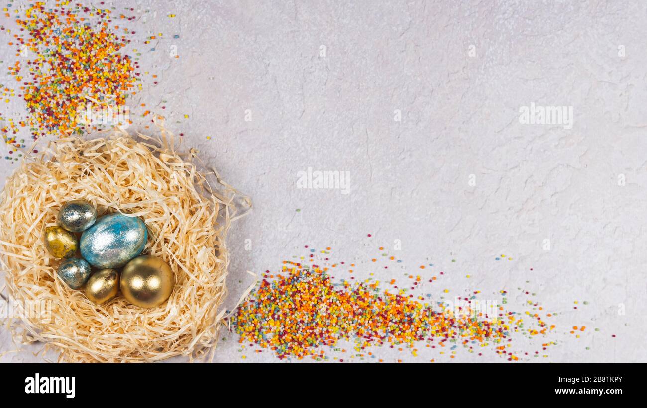 uova di quaglia colorate su sfondo grigio, piatto. Concetto di Pasqua e primavera. Spazio copia, vista dall'alto Foto Stock