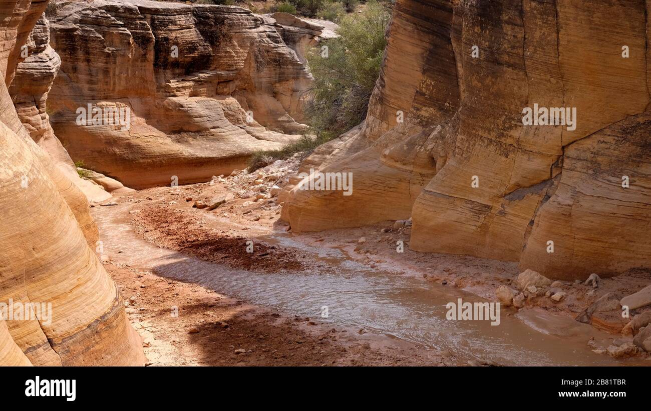 Willis Creek slot Canyon nella Grand Staircase, Escalante. Uno slot canyon a misura di escursionista nello Utah formato da arenaria Navajo. Foto Stock