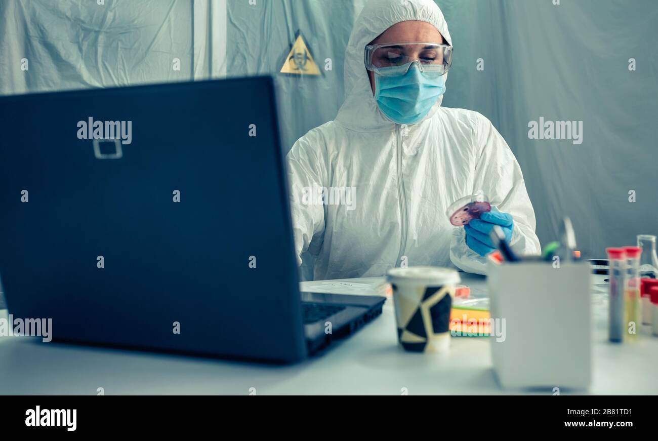 Scienziato che lavora con il laptop in laboratorio Foto Stock