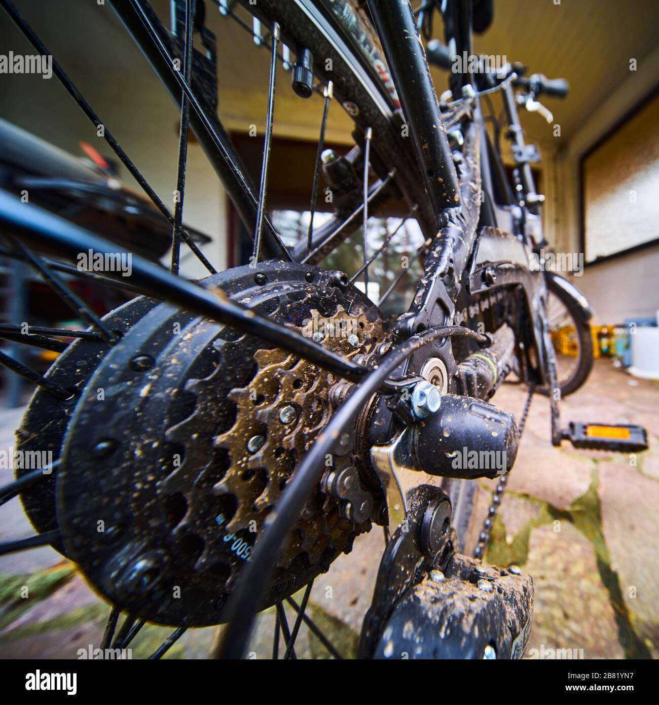 Pignoni e ingranaggi sul pneumatico posteriore di una bicicletta, primo piano con grandangolo, messa a fuoco selettiva Foto Stock