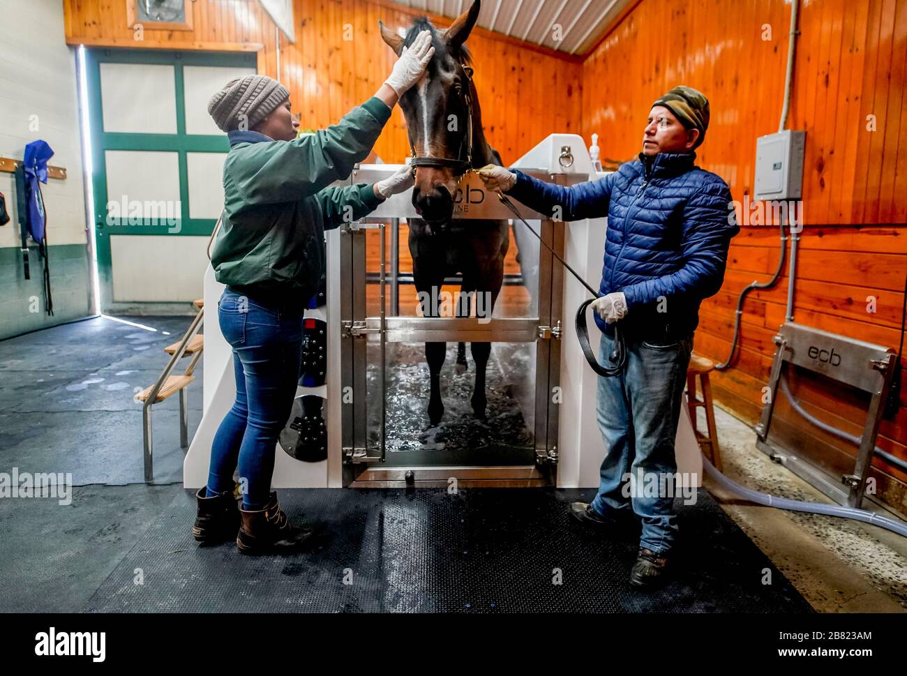 18 marzo 2020, Fair Hill, MD, USA: 18 marzo 2020 : UN cavallo ottiene un trattamento nella spa di acqua salata fredda al Centro di Equine Therapy di Fair Hill. La vita continua al Fair Hill Training Center di Fair Hill, Maryland. Mentre non sono ammessi spettatori in alcuna struttura di corsa negli Stati Uniti, o nel mondo essenzialmente, durante la pandemia di coronavirus, i cavalli devono ancora allenarsi ed esercitarsi. Il Fair Hill Trainer Center nella contea di Cecil nel Maryland è ancora aperto per gli affari e gli atleti equini rimangono attivi attraverso la crisi COVID-19. Scott Serio/Eclipse Sportswire/CSM Foto Stock