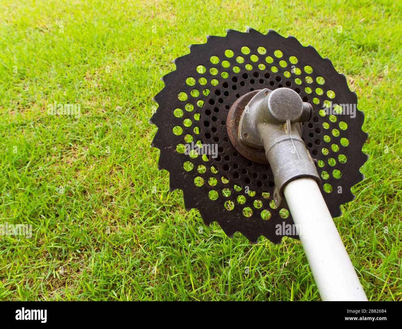 Lama per sega circolare per taglio cespugli e tronchi di albero sottili  Foto stock - Alamy