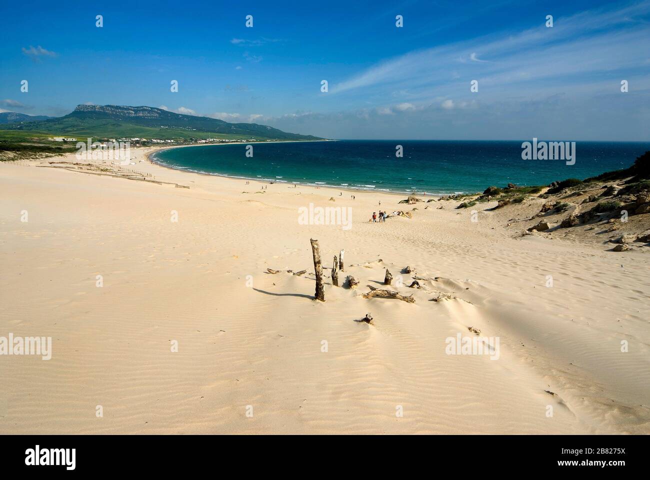 Playa de Bolonia, Tarifa, campo de Gibilterra, Costa de la Luz, Cádiz, Andalucía, España. Foto Stock