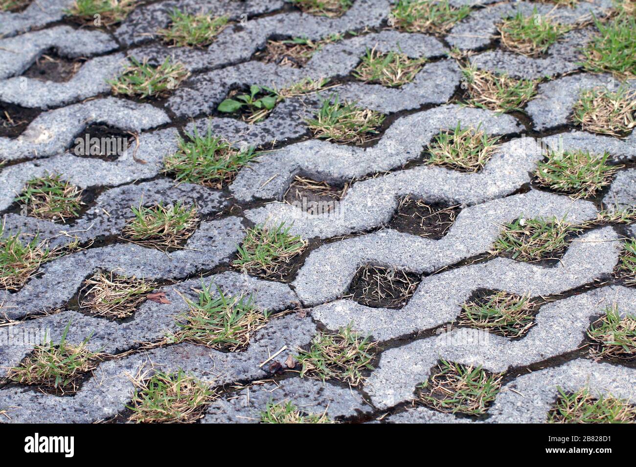 Pavimento in cemento, blocco di mattoni decorati in tessuto sul passaggio  pedonale del giardino, passeggiata in