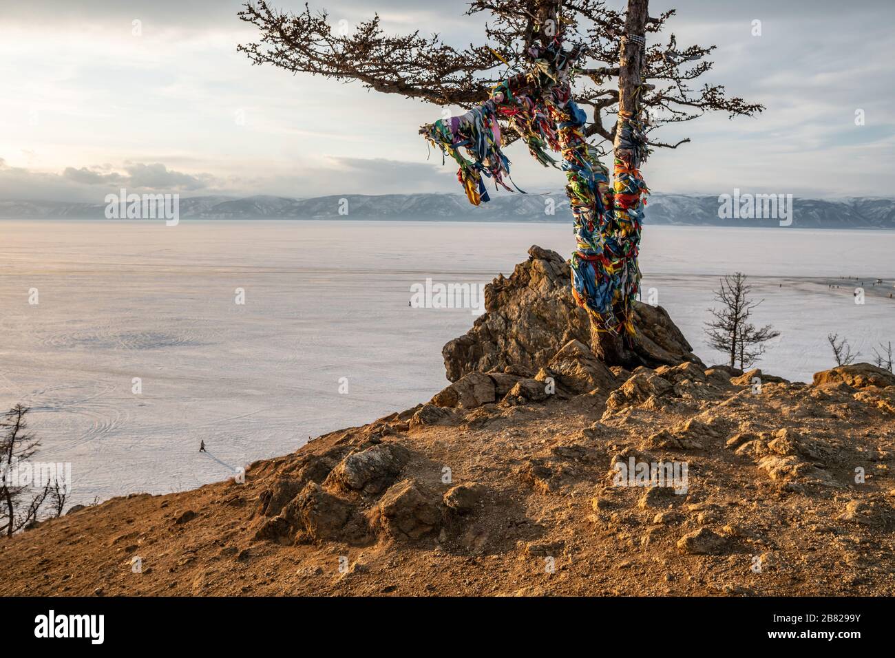 Un albero sacro con nastri multicolori sulla riva del lago Baikal. Splendida vista sul ghiaccio innevato del lago e delle montagne Foto Stock