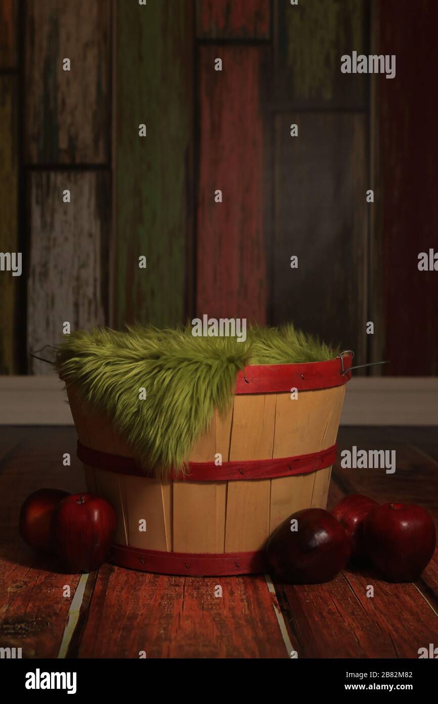 Studio Scene per aggiungere un bambino, un bambino o un animale domestico digitalmente per il Portraiture Foto Stock