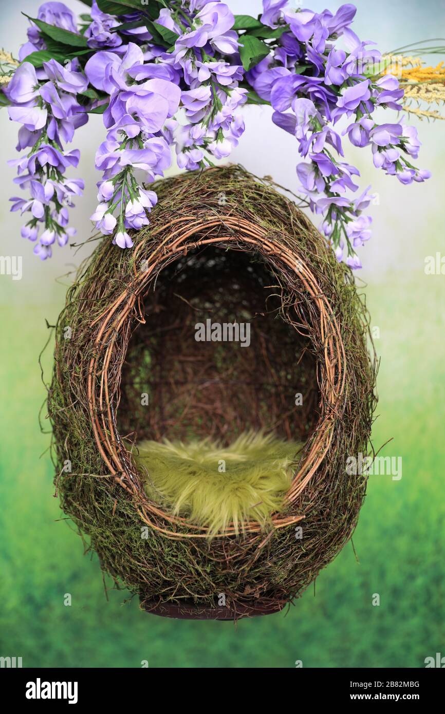 Studio Scene per aggiungere un bambino, un bambino o un animale domestico digitalmente per il Portraiture Foto Stock