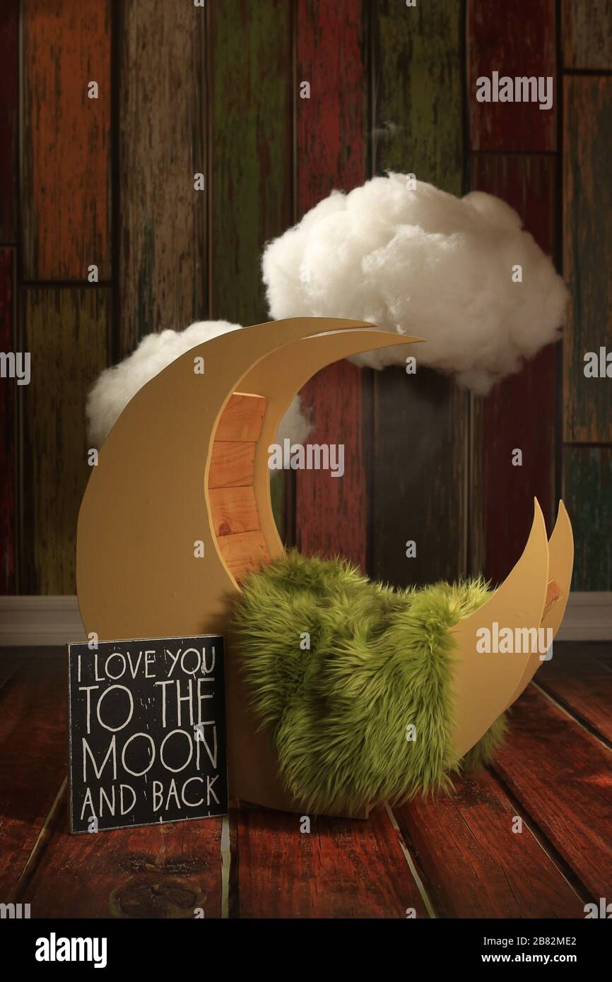 Studio Scene per aggiungere un bambino, un bambino o un animale domestico digitalmente per il Portraiture Foto Stock