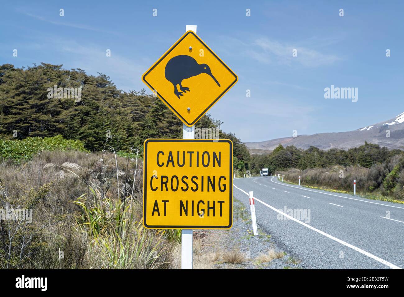 Segnale stradale avvertimento di kiwi camminare sulla strada di notte, South Island, Nuova Zelanda Foto Stock
