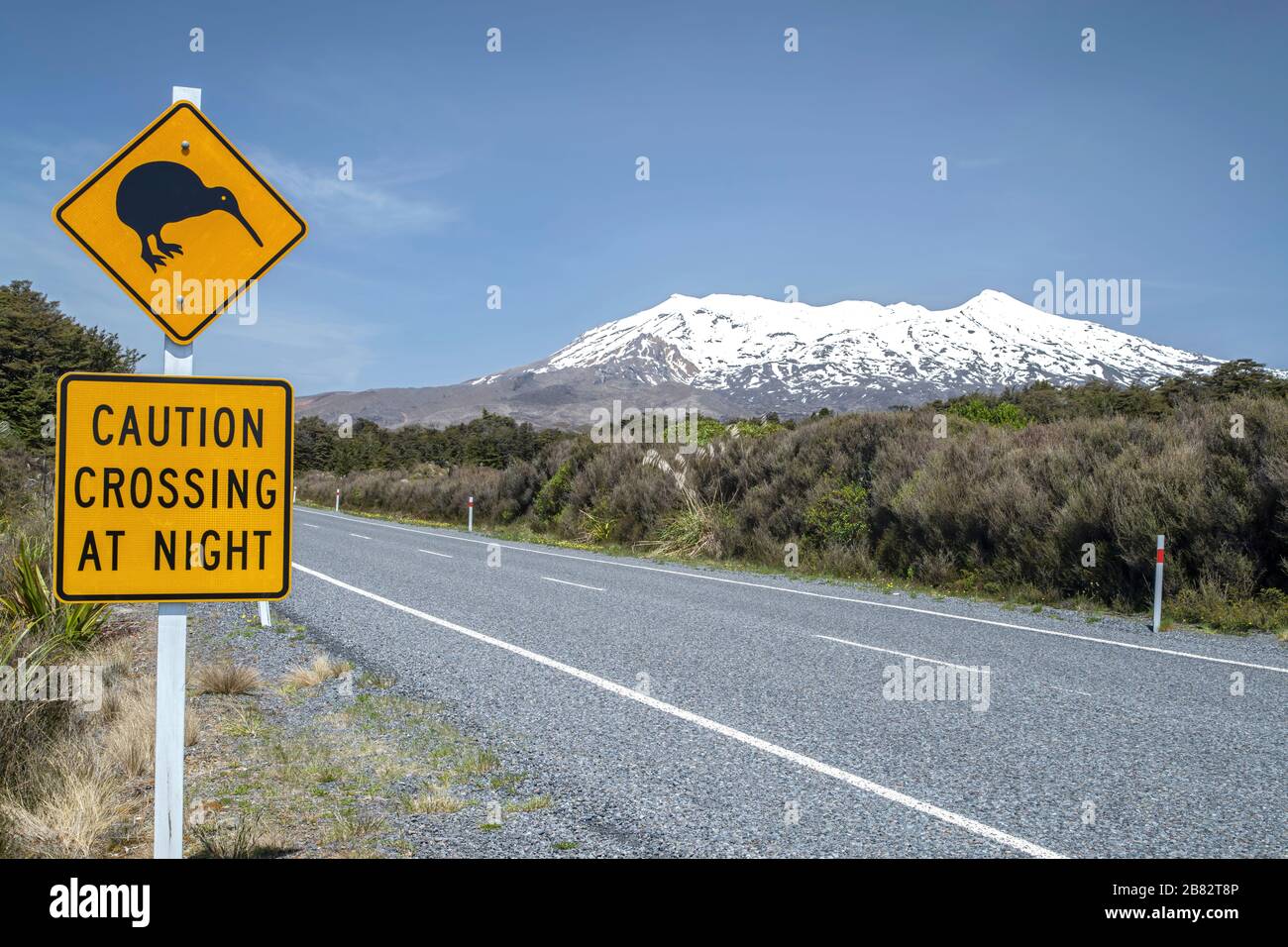 Segnale stradale avvertimento di kiwi camminare sulla strada di notte, South Island, Nuova Zelanda Foto Stock