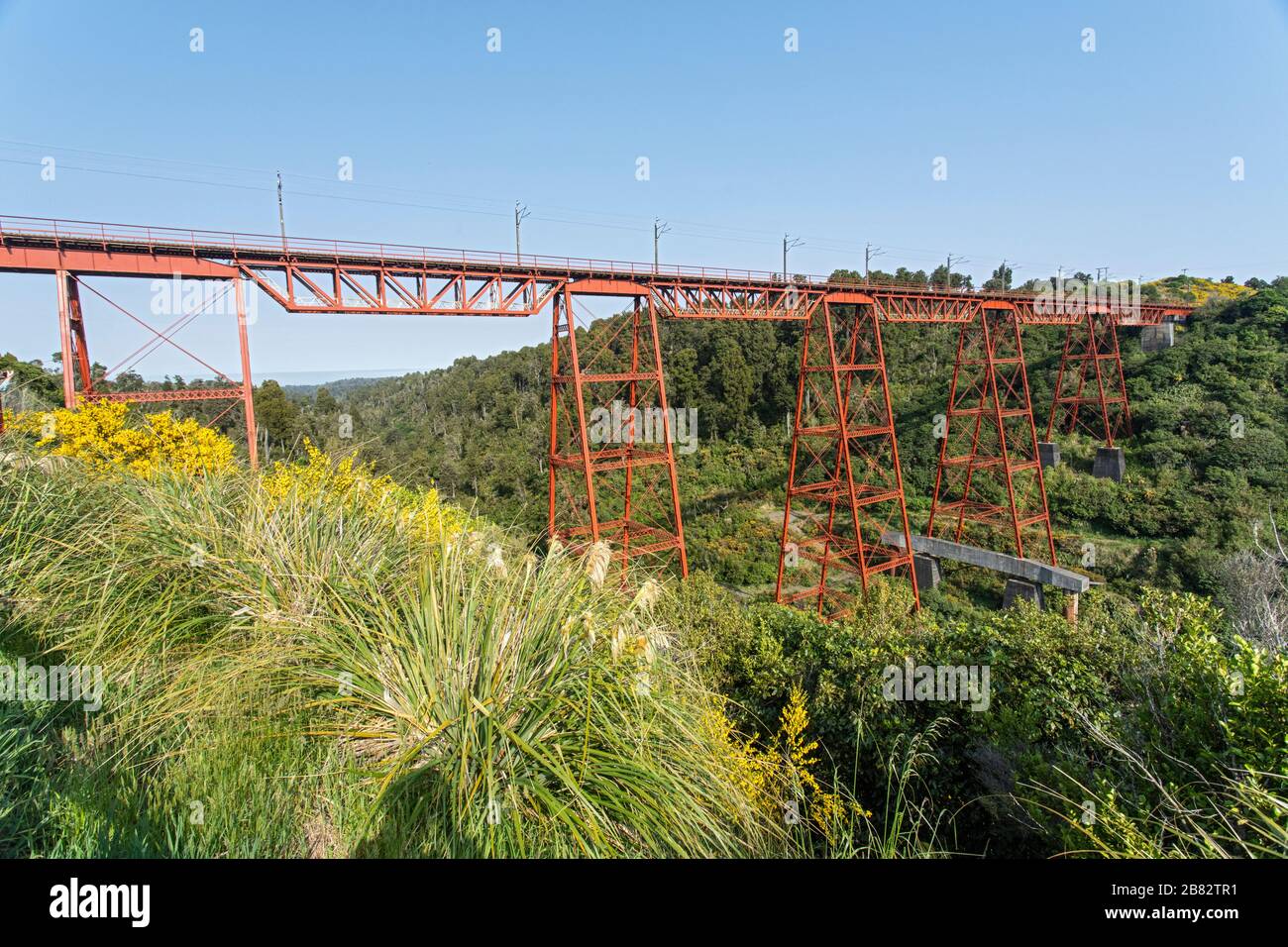 Viadotto ferroviario di Makatote, Isola del Nord, Nuova Zelanda Foto Stock