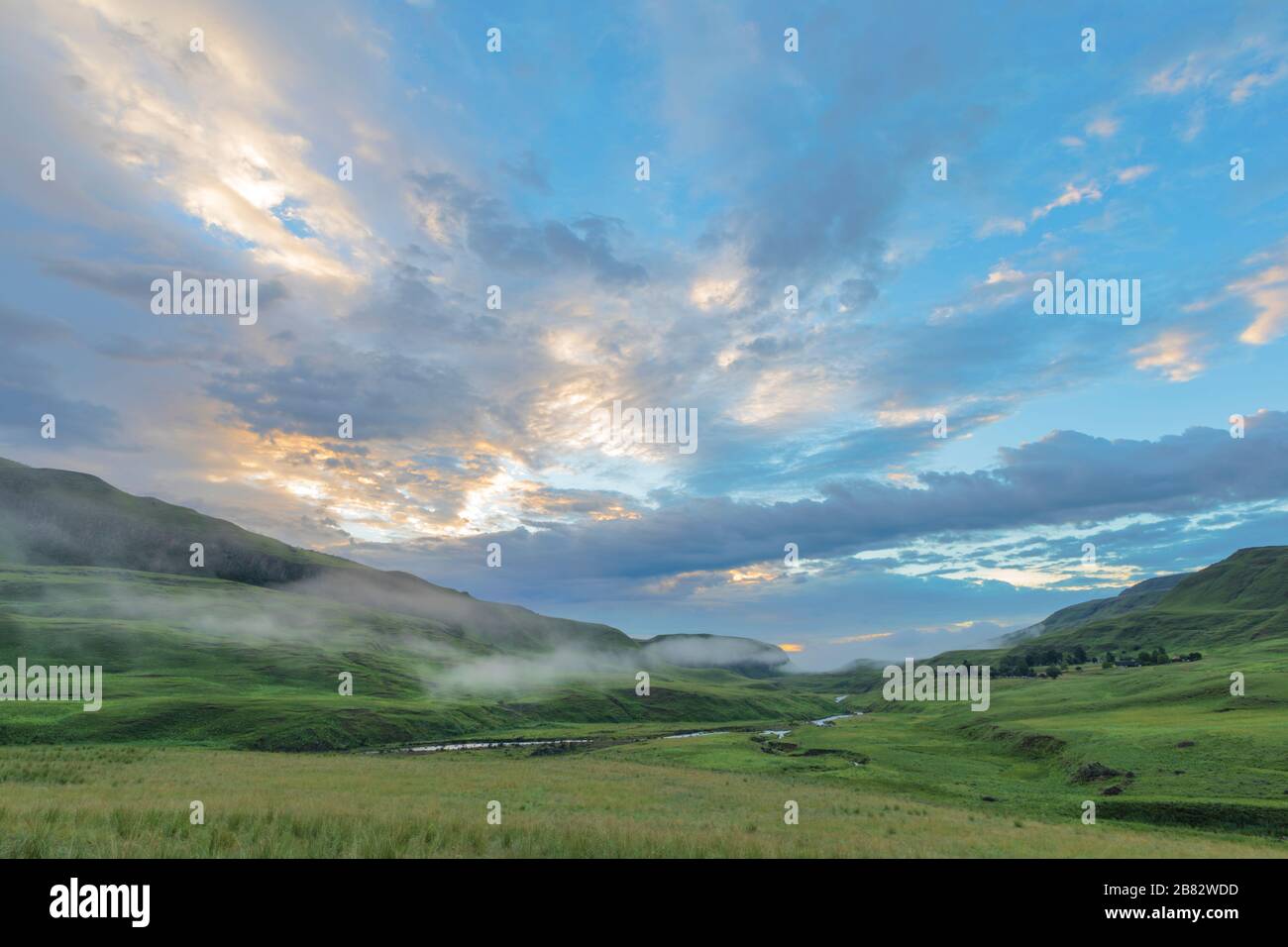 Nebbia al mattino presto Foto Stock