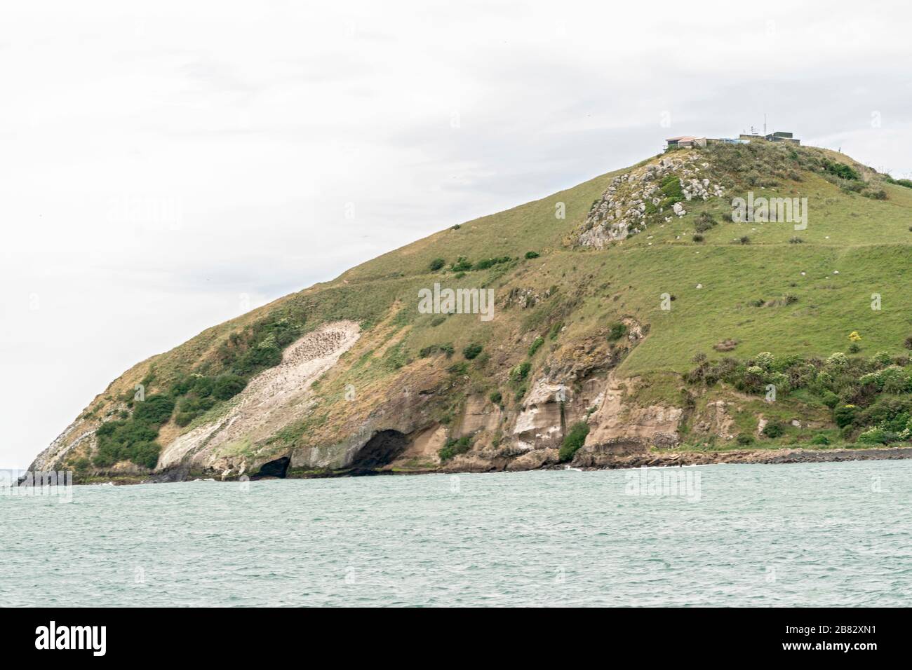 Vista della costa a Tairea Head, vicino a Dunedin, South Island, Nuova Zelanda Foto Stock