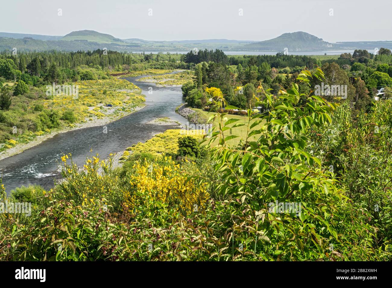 Vista sul fiume vicino a Turangi, vicino al lago Taupo, Isola del Nord, Nuova Zelanda Foto Stock