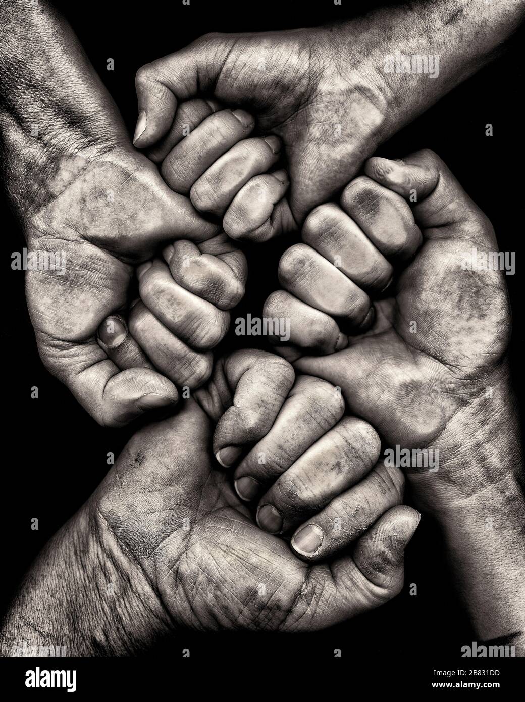 Quattro mani clenched contro sfondo nero Foto Stock