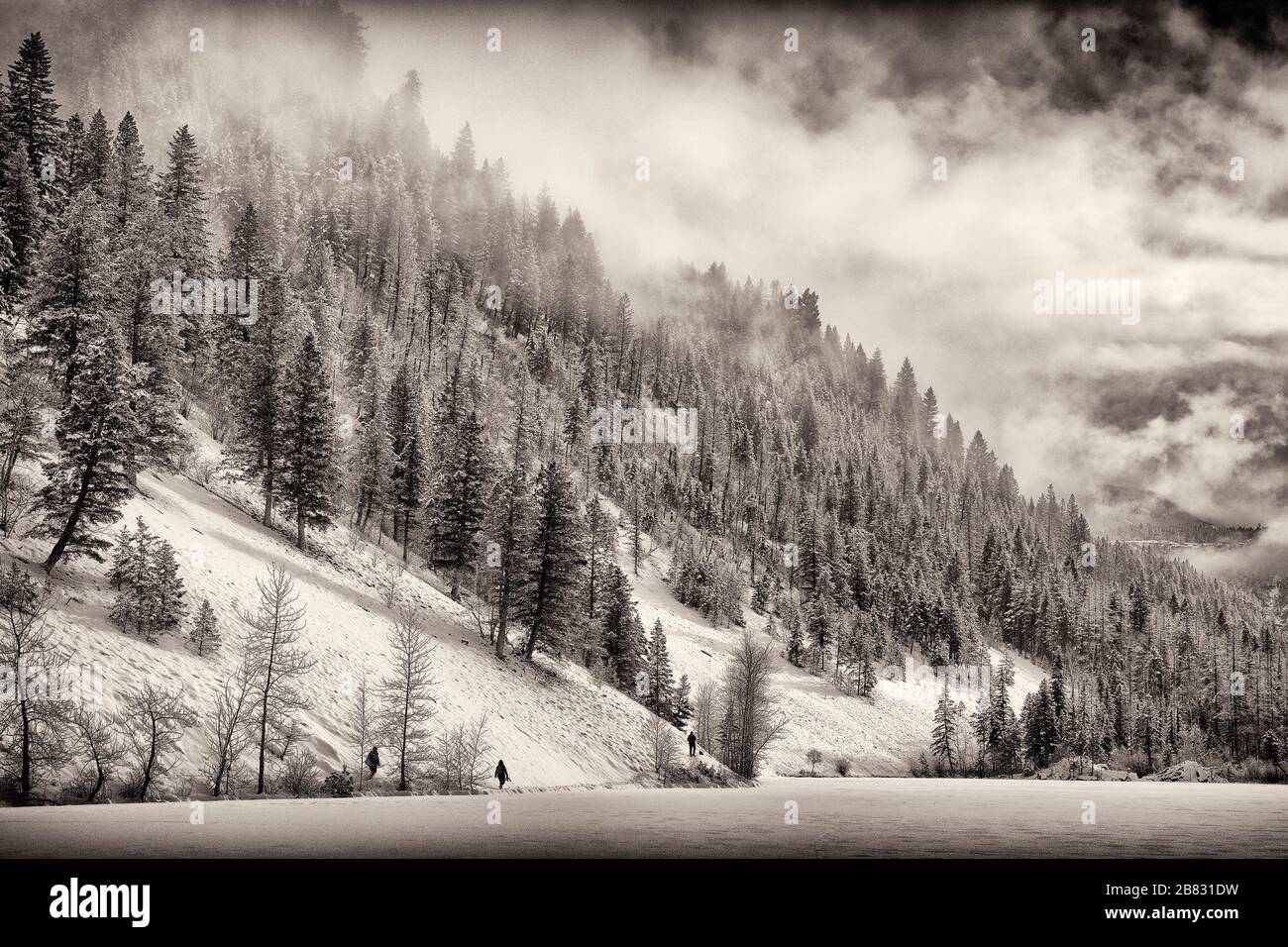 Silver Spring Lake e Foggy Mountainside in inverno, Elko, British Columbia, Canada Foto Stock