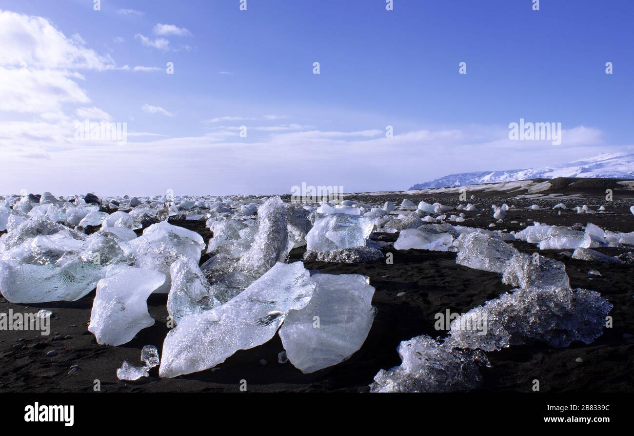 campi di ghiaccio sulla spiaggia di ciottoli neri, costa dell'islanda Foto Stock