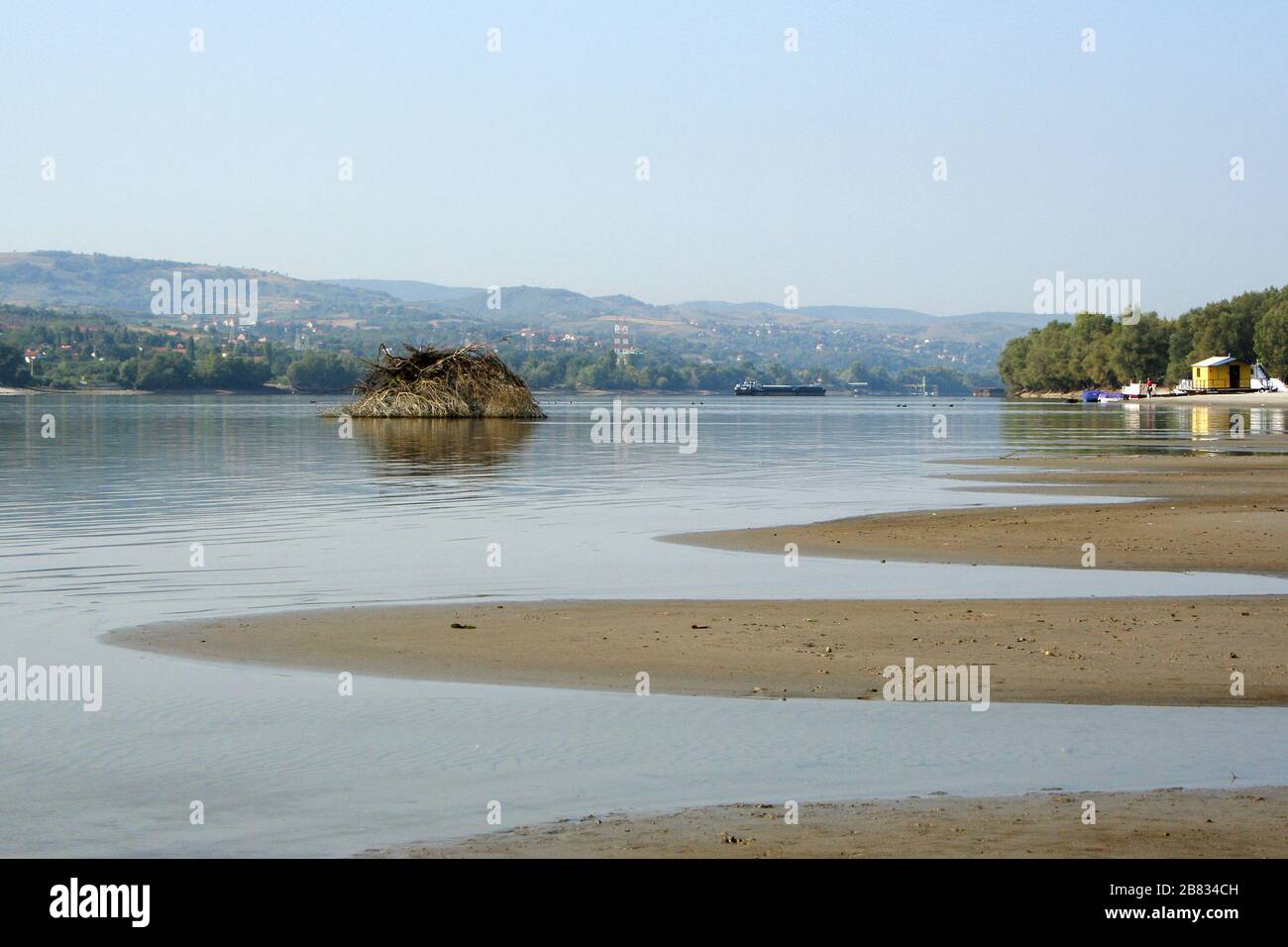 Riva secca del Danubio a Novi Sad, Serbia. Fiume Danubio essiccato, stagione estiva. Supporto basso. Foto Stock