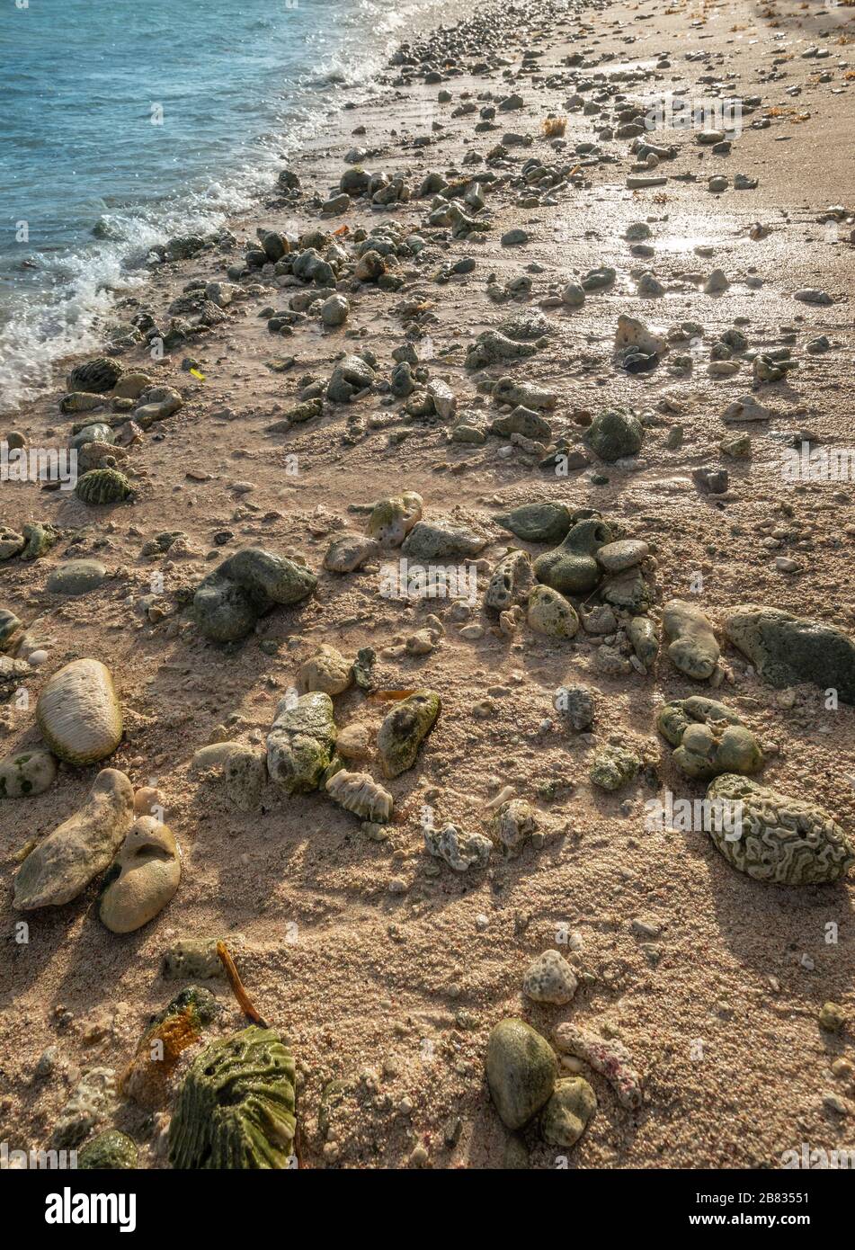 Spiaggia rocciosa, Grand Cayman Island Foto Stock