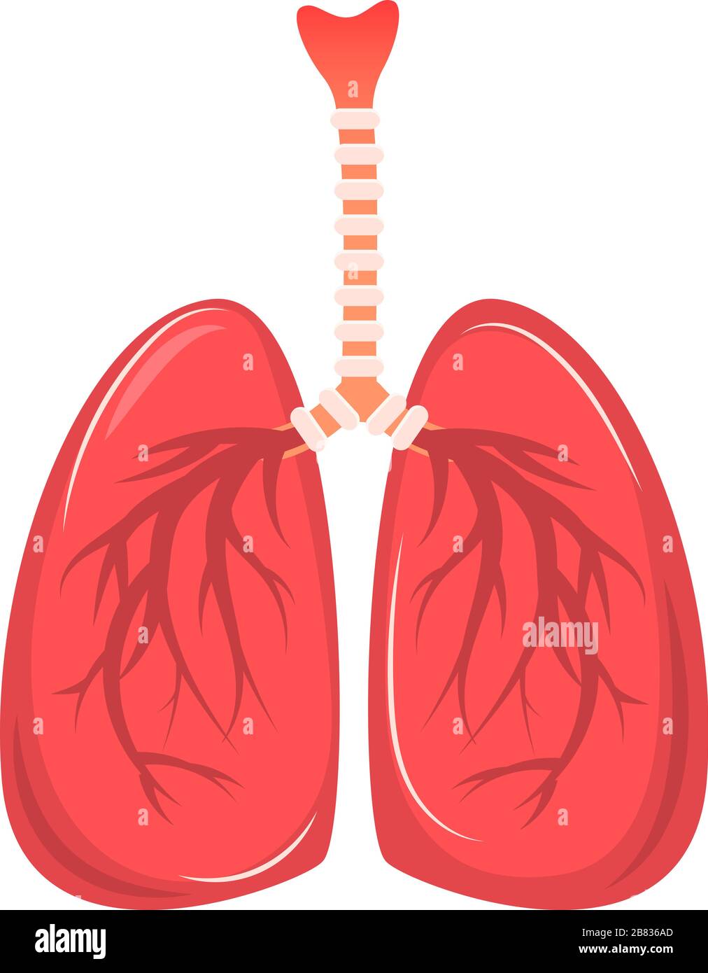 Fumetto polmoni umani isolati su sfondo bianco. Illustrazione vettoriale in stile piatto Illustrazione Vettoriale