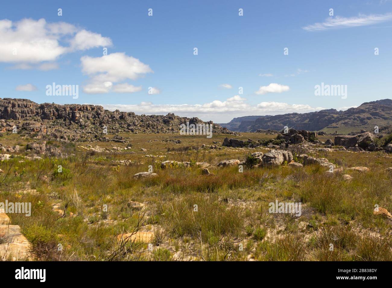 Paesaggio nel Cederberg vicino a Clanwilliam, Capo Occidentale, Sud Africa Foto Stock