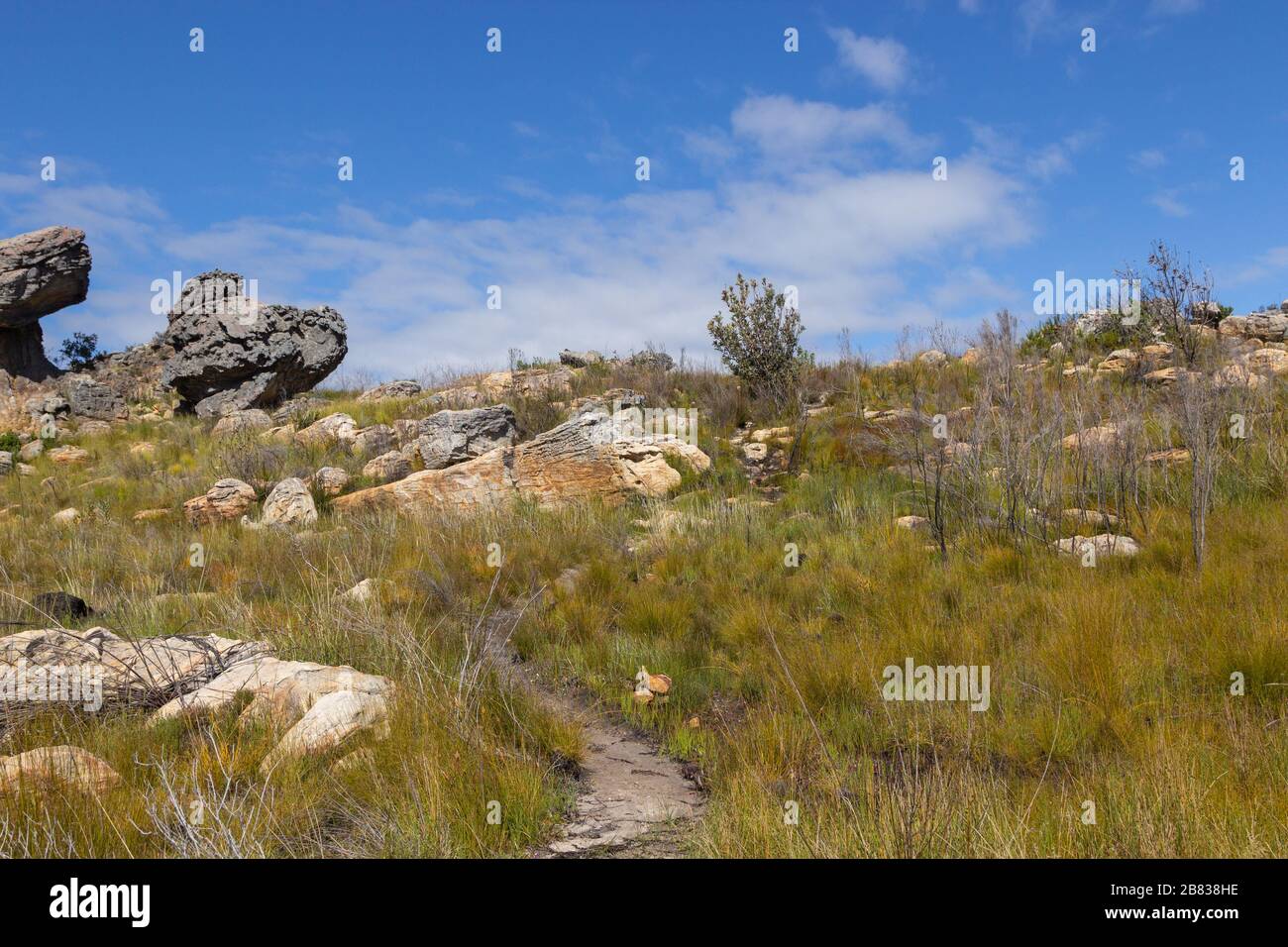 Paesaggio nel Cederberg vicino a Clanwilliam, Capo Occidentale, Sud Africa Foto Stock