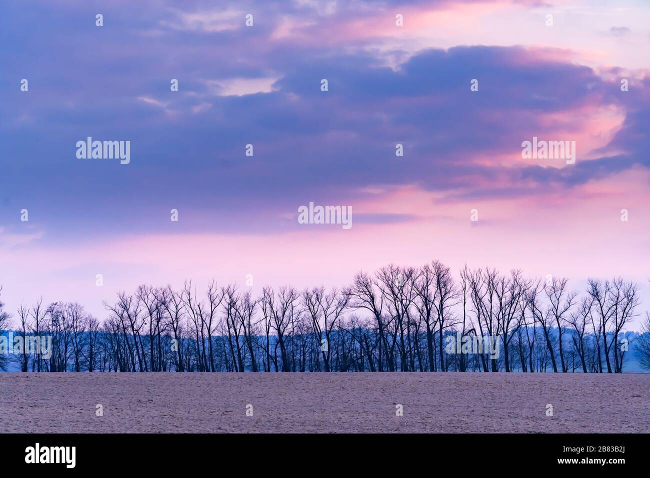 Tramonto rosa sopra la linea di alberi con campo in primo piano Foto Stock