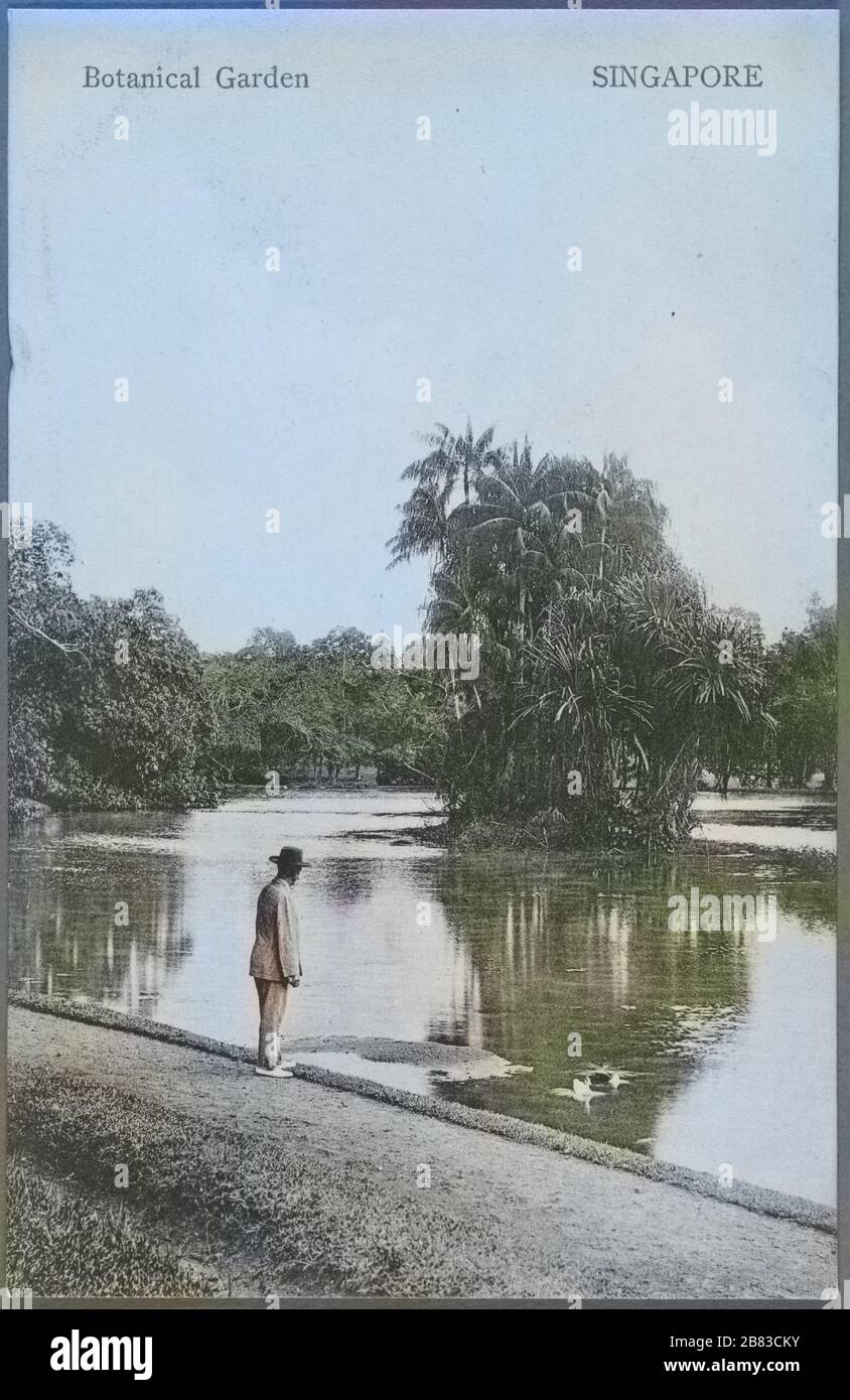 Cartolina incisa di un uomo che indossa un vestito e un cappello in piedi da uno stagno ai Giardini Botanici di Singapore, pubblicata da G.R, 1910. Lambert and Co. Della New York Public Library. Nota: L'immagine è stata colorata digitalmente utilizzando un processo moderno. I colori potrebbero non essere precisi in termini di periodo. () Foto Stock