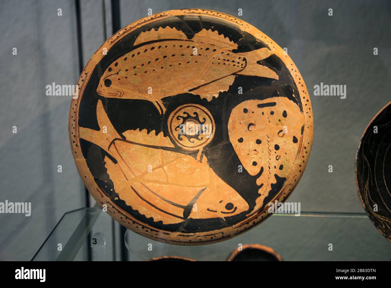 Piatto di pesce dalla tomba 11 ad Agropoli, vicino Paestum (c. 350 A.C.). Attico in ceramica rossa. Periodo ellenistico. Museo di Paestum, Campania, Italia. Foto Stock