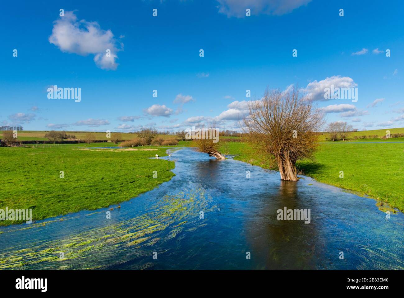 Il fiume Till in piena a Winterbourne Stoke, Wiltshire, Regno Unito. Un winterbourne è un ruscello che scorre in inverno, ma è spesso secco in estate. Foto Stock