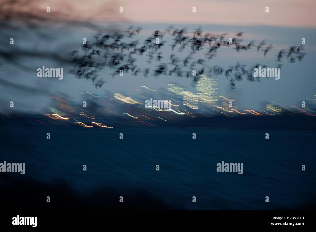 Volo notturno di Brent sullo skyline di New York Foto Stock