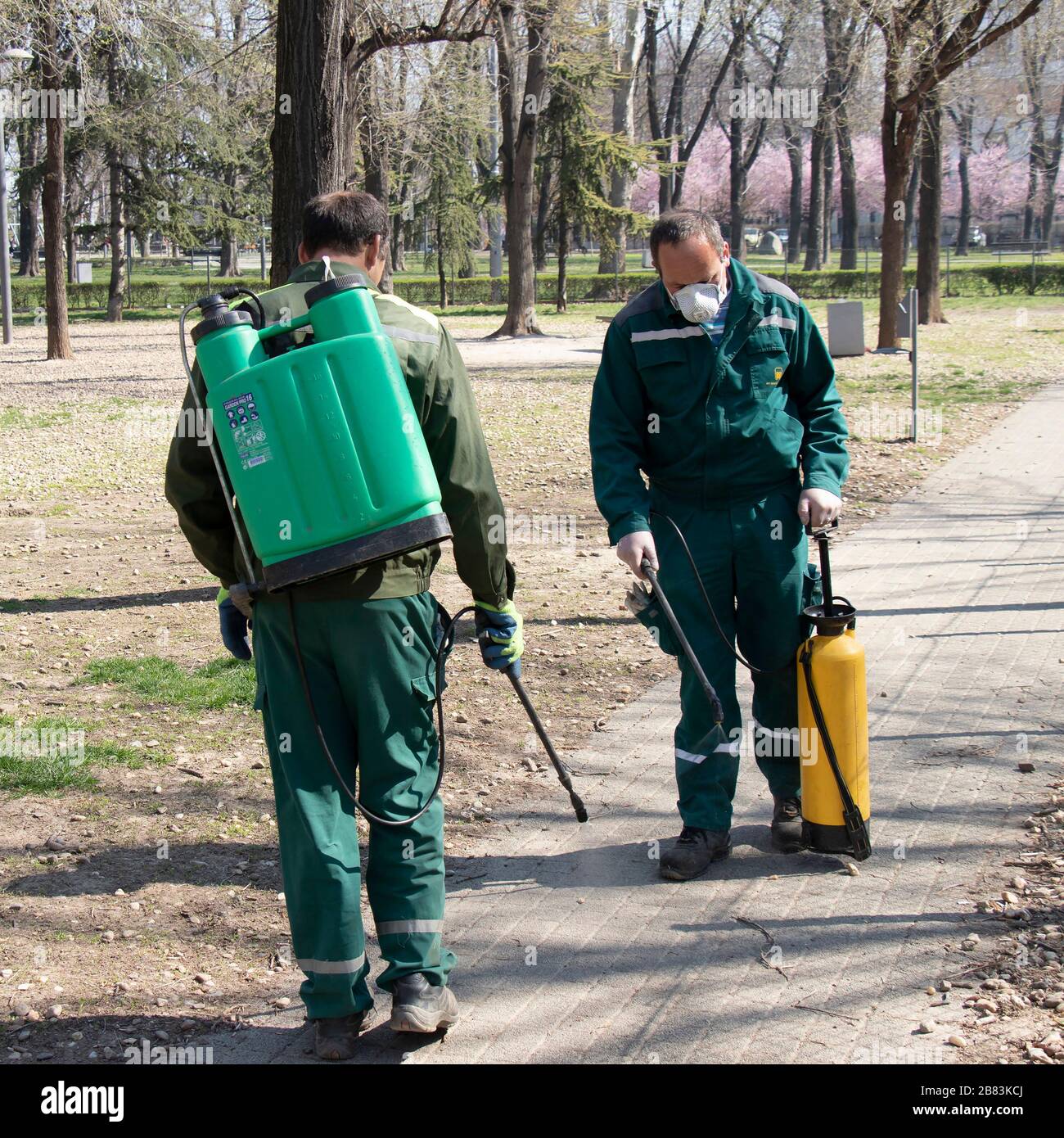Belgrado, Serbia - 19 marzo 2020: Due lavoratori provenienti dal verde della città che svolgono la disinfezione del parco all'aperto spray per la prevenzione della diffusione del virus Corona Foto Stock