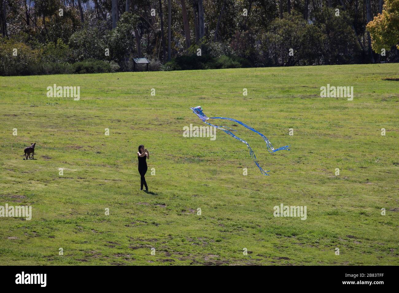 Los Angeles, Stati Uniti. 18 Marzo 2020. I residenti di Los Angeles si autoisolano nel James Hahn Park durante l'emergenza Covid19. 3/18/2020 Los Angeles, CA USA (Photo by Ted Soqui/SIPA USA) Credit: Sipa USA/Alamy Live News Foto Stock