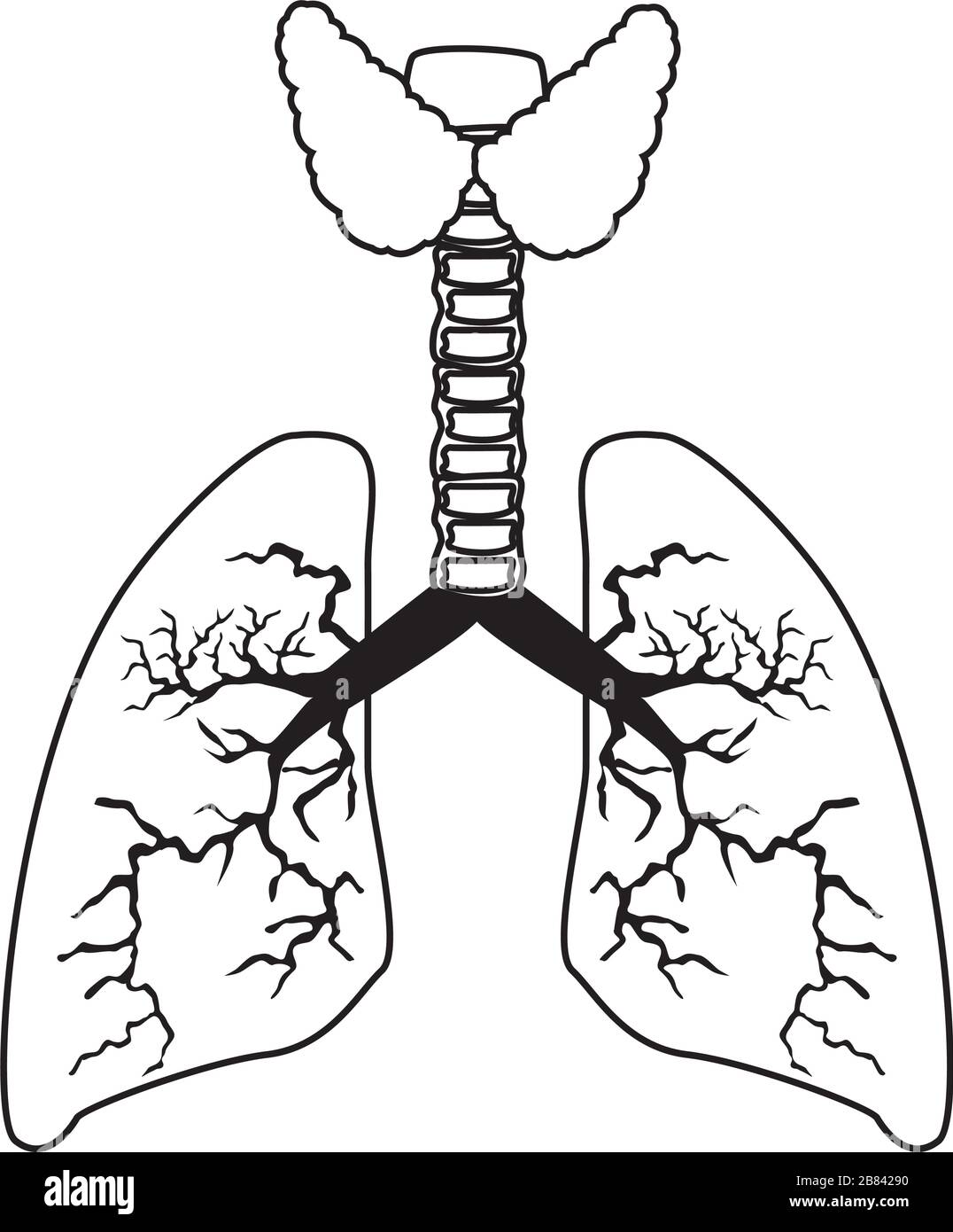 Polmoni umano dell'organo icona isolato Illustrazione Vettoriale