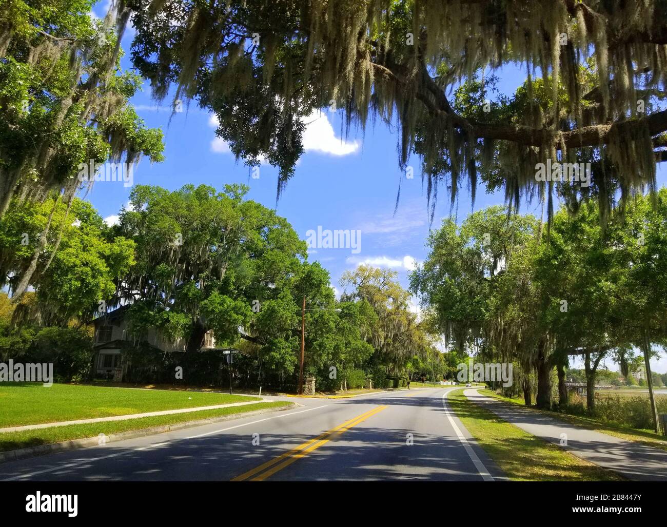 Bella strada con querce e muschio vicino a Winter Haven, Florida, U.S.A Foto Stock