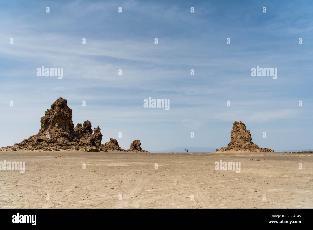 Africa, Gibuti, Lago Abbe. Vista panoramica del lago Abbe. Un albero si erge da solo nel mezzo Foto Stock