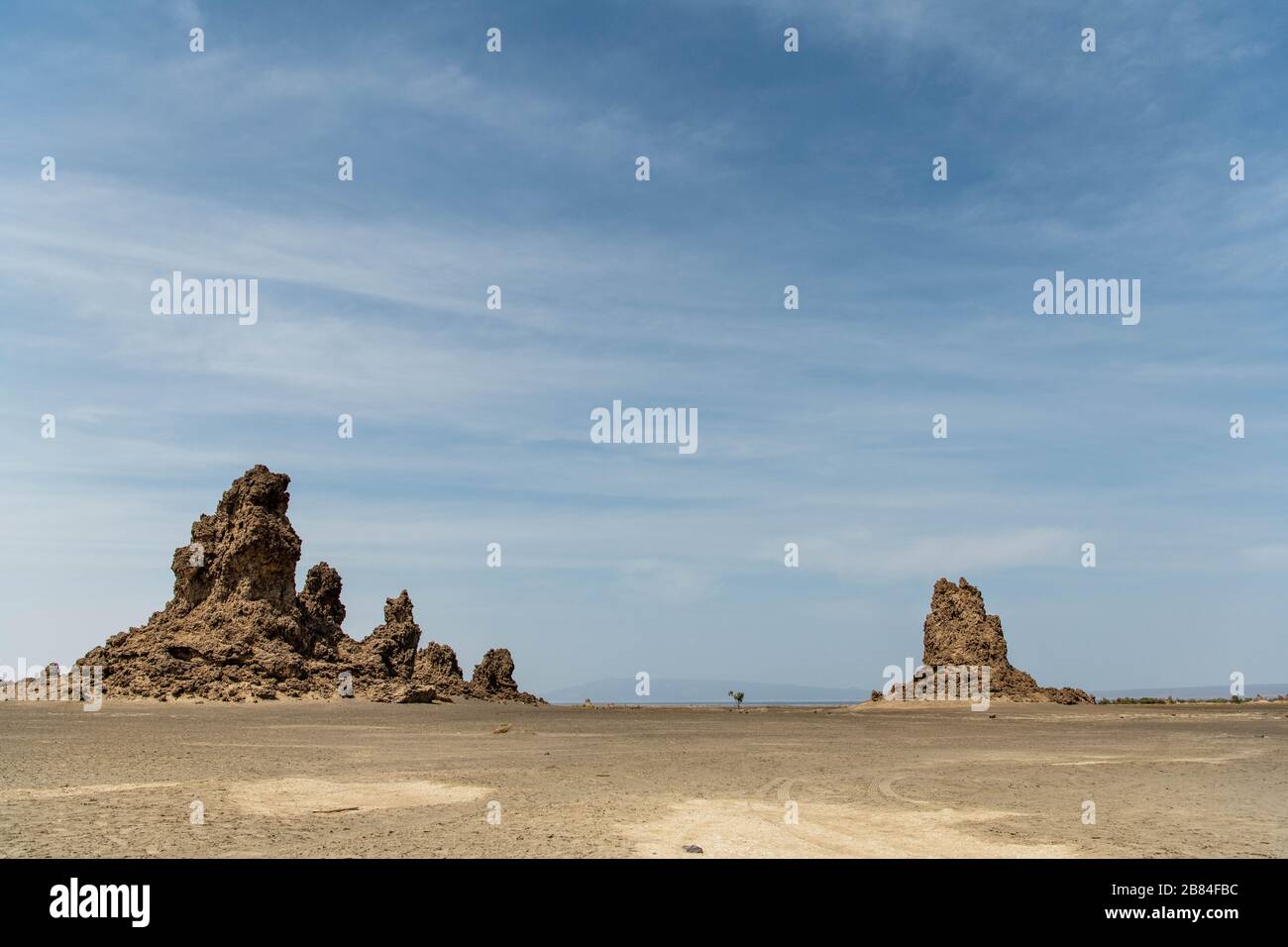 Africa, Gibuti, Lago Abbe. Vista panoramica del lago Abbe. Un albero si erge da solo nel mezzo Foto Stock