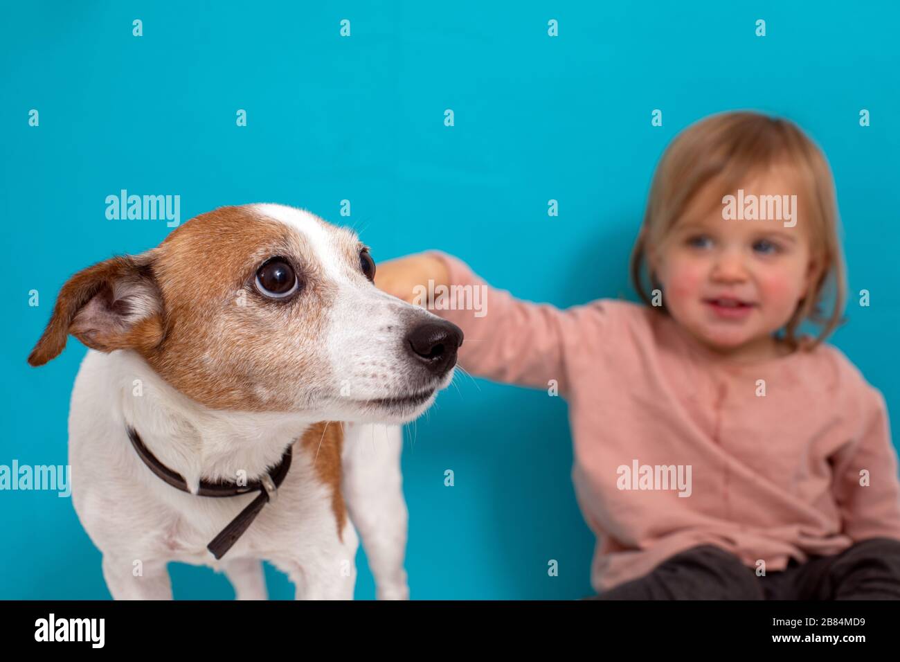 Bambino felice con il cane. Ritratto ragazza con animale domestico Foto Stock