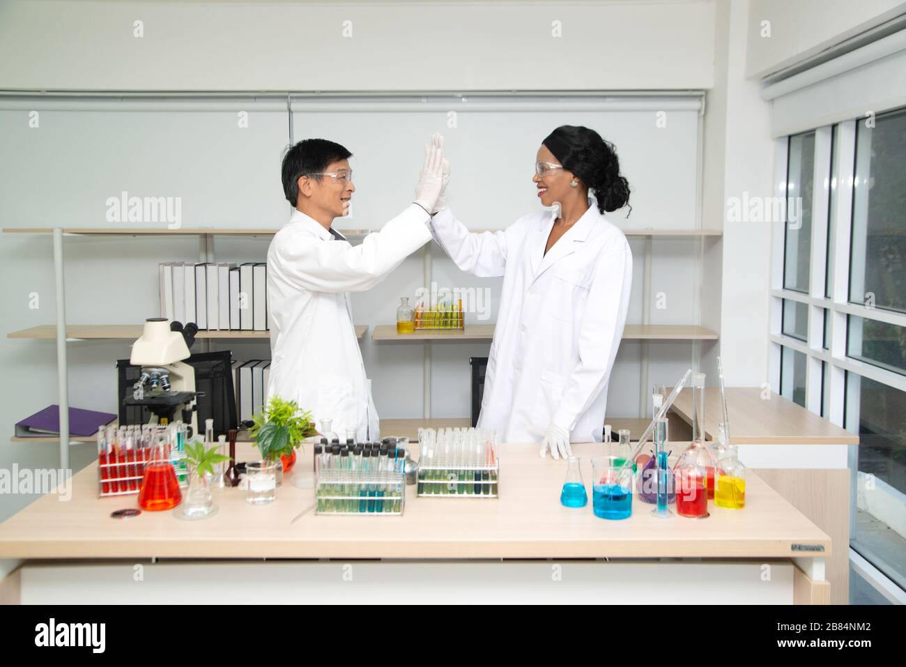 Giovani chimici professionisti in mani agitanti in laboratorio scientifico. Foto Stock