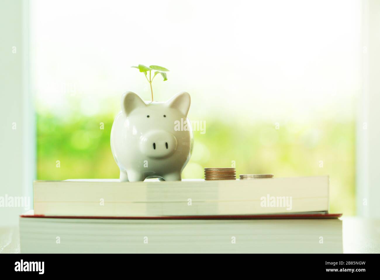 albero piccolo che cresce sulla banca piggy di risparmio sul libro in soldi di risparmio per il concetto di istruzione Foto Stock