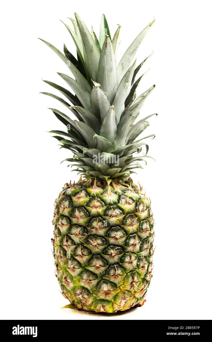 Ananas fresco su sfondo bianco Foto Stock