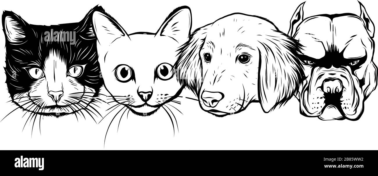 Icone PET Vet simboli Imposta vettore, raggruppati per facilitare l'editing. Illustrazione Vettoriale