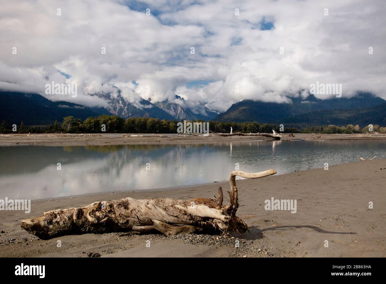 Vista orizzontale con un log morto in prima linea, Chilkat River Delta, Alaska Foto Stock