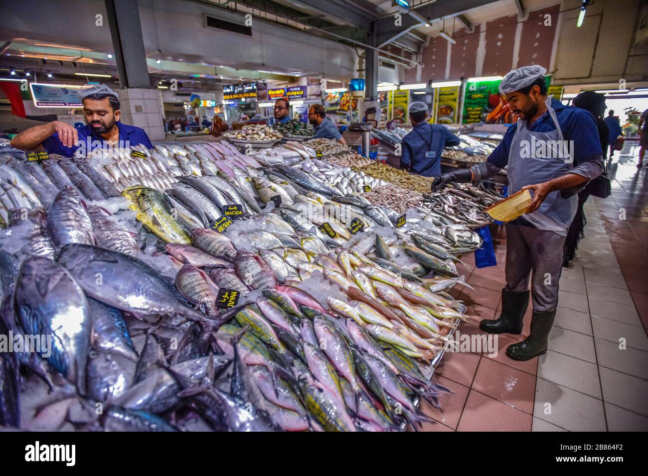 Emirati Arabi Uniti. Abu Dhabi. Mercato del pesce di Mina nel porto di Zayed Foto Stock