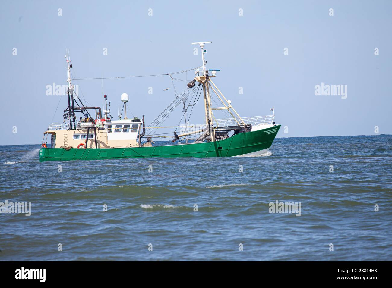 Una taglierina di gamberi del Mare del Nord Foto Stock